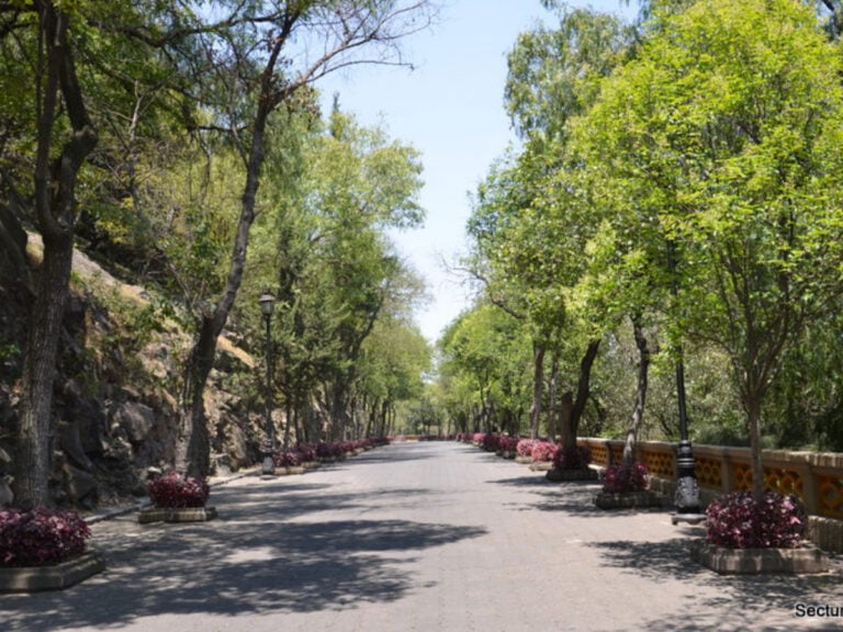 Restaurantes en el Bosque de Chapultepec.