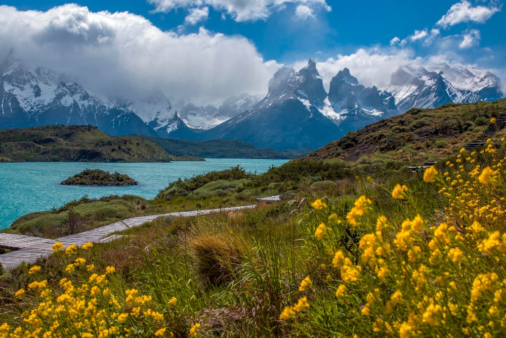 Patagonia-Chilena