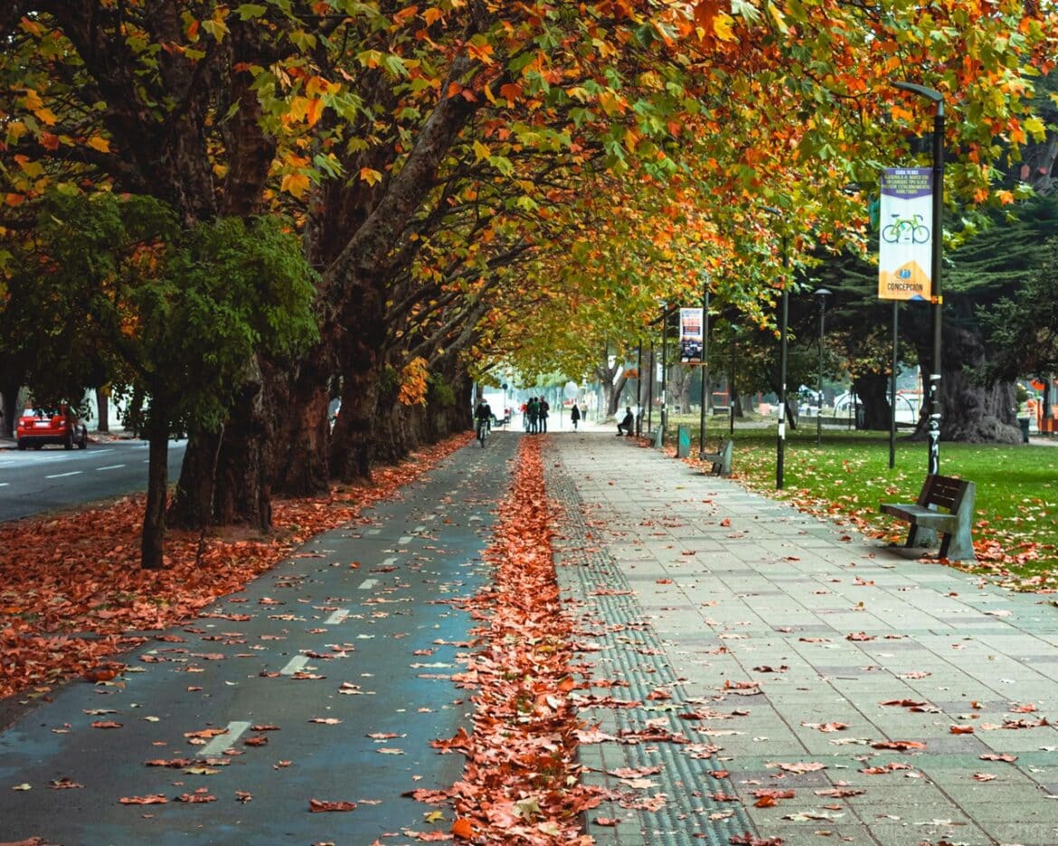 Qué sitios visitar en Concepción Chile - Viajeros Ocultos