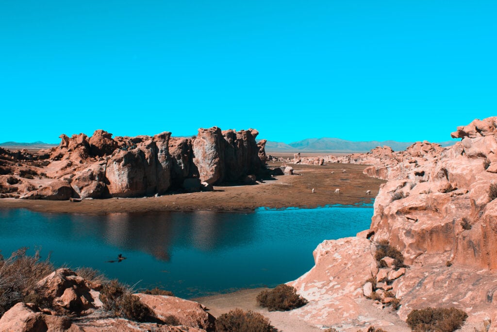 lago en medio del desierto Errachidia