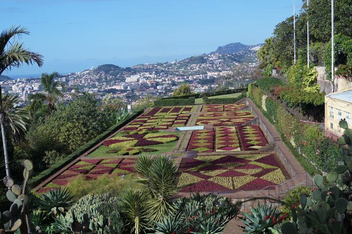 Jardín Botánico de Funchal 