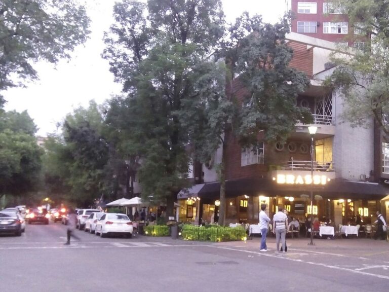 Mejores restaurantes en Polanquito .