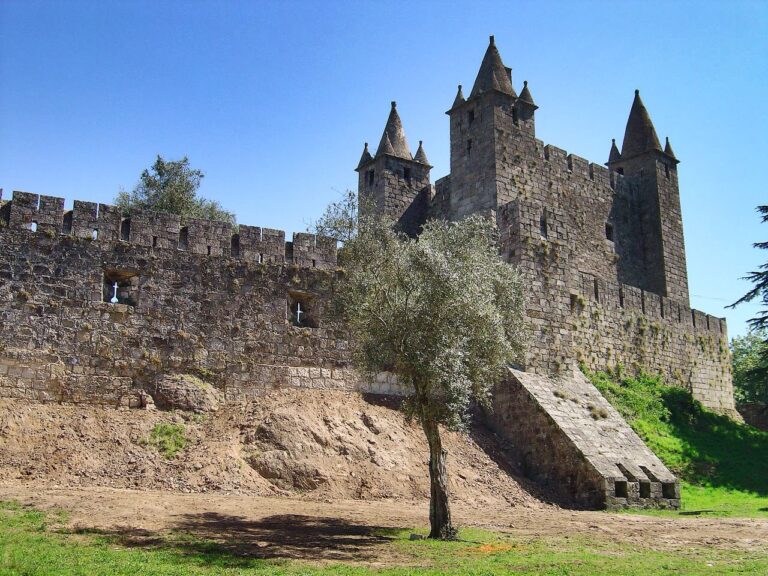 castillo de santa maria da feira