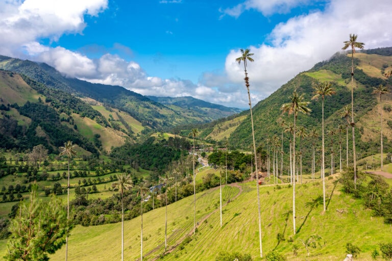 valle-de-cocora-colombia