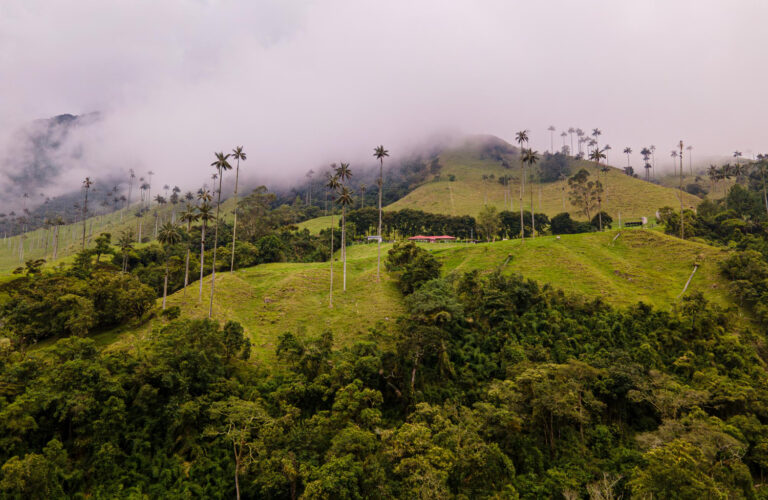 eje-cafetero-colombia
