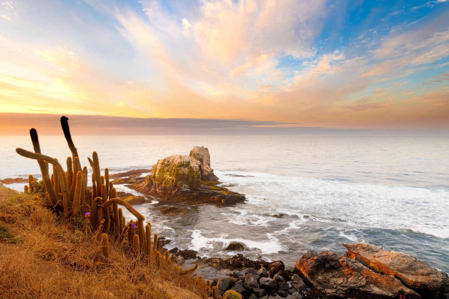 Punta-Lobos-Turismo-en-Chile