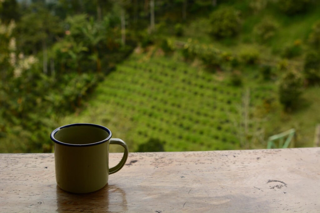 Salento, Eje Cafetero de Colombia - Viajeros Ocultos