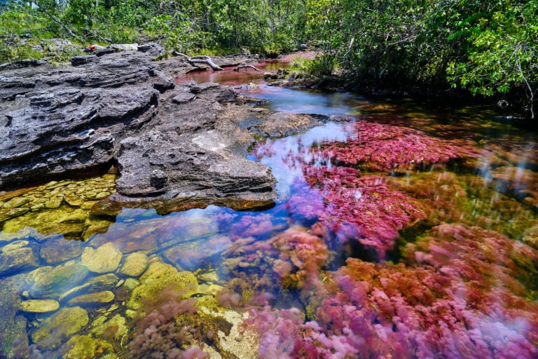 caño-cristales