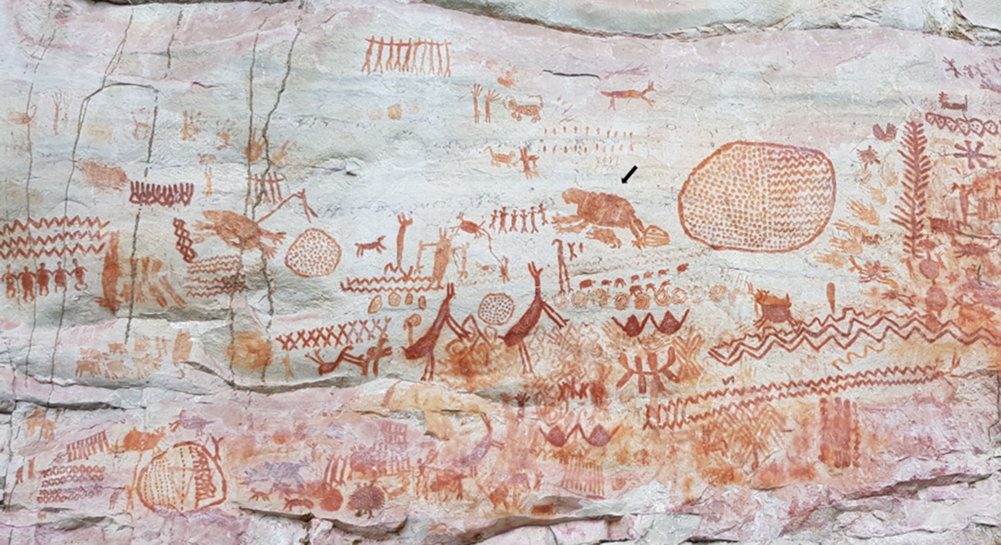 pinturas-rupestres-chiribiquete